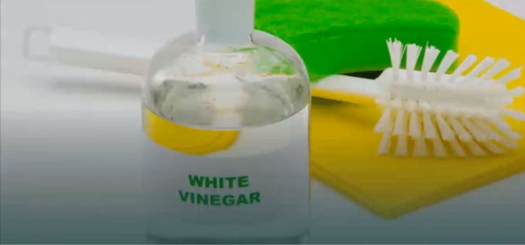 Can You Put Vinegar in a Steam Cleaner