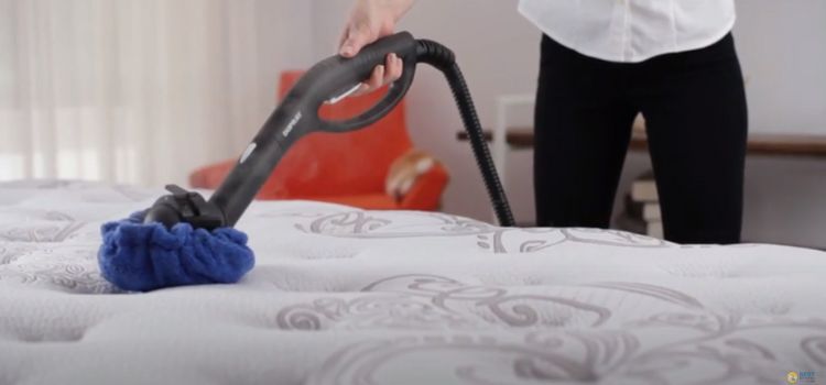 What Steam Cleaner is Best for Bed Bugs